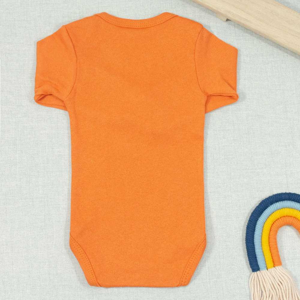 BODY PARA BEBÊ MANGA LONGA EM SUEDINE BÁSICO COBRE