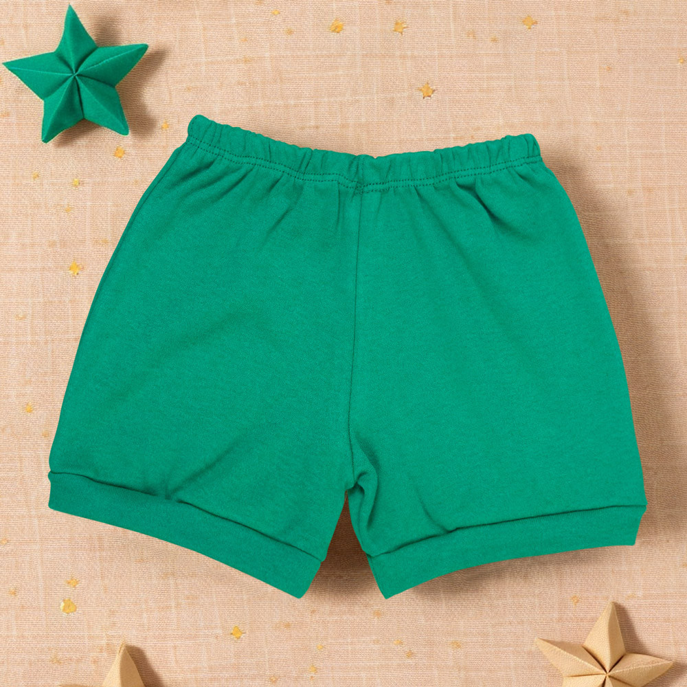 Shorts Verde Algodão - Perfeito para Bebês de 0 a 12 Meses