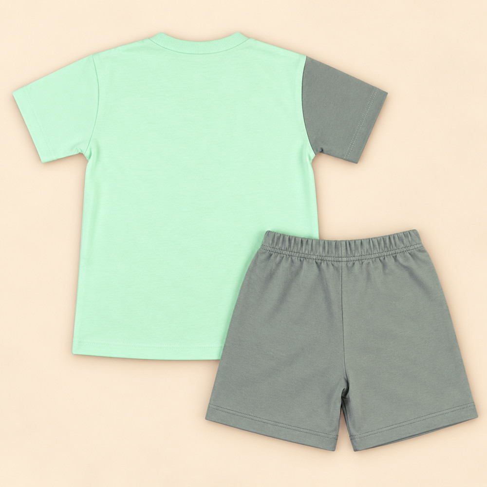 Conjunto Infantil Menino Camiseta e Bermuda de 2 até 08 anos Verde