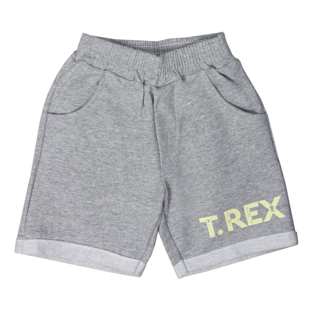 CONJUNTO REGATA E BERMUDA INFANTIL DINOSSAURO PRETO