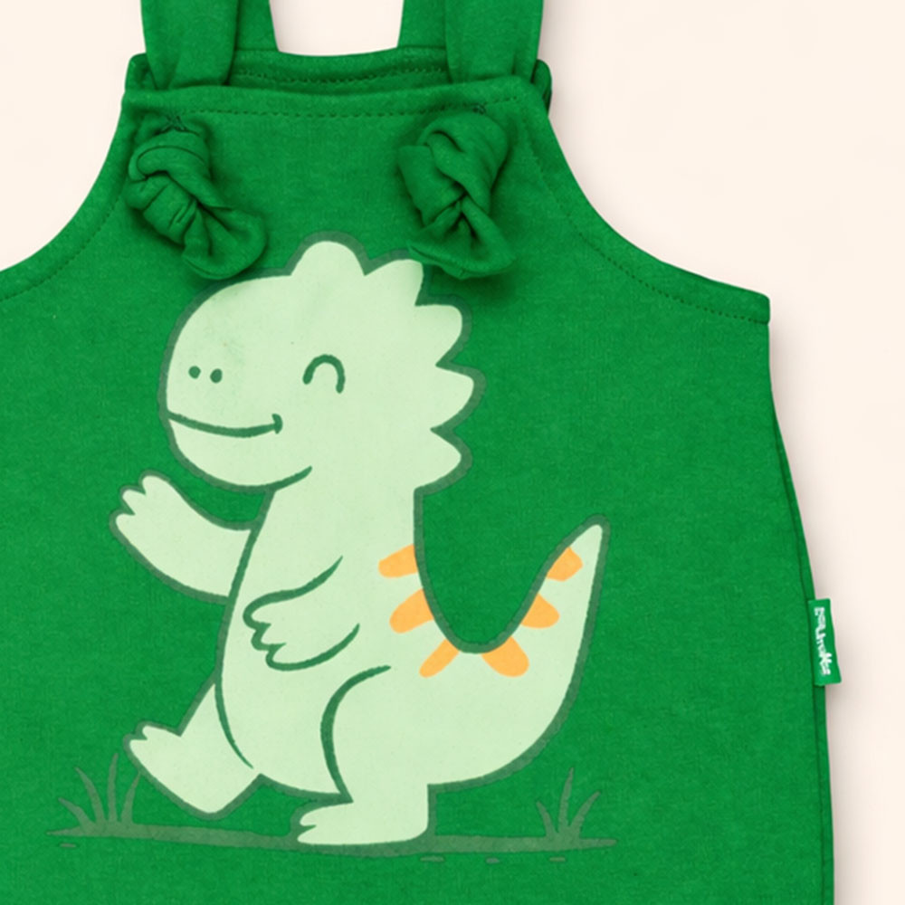 Jardineira Nozinho em Algodão de Bichinhos Verde Dino Para Bebês Até 12 meses