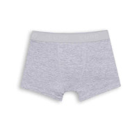 CUECA BOXER MESCLA INFANTIL EM COTTON DE 3 A 11 ANOS LUPO