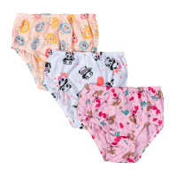 Kit 3 Peças de Calcinhas para Bebê Estampadas Cores Sortidas