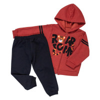 Conjunto de Moletom Infantil Tigrinho Meninos 1 ao 3 anos