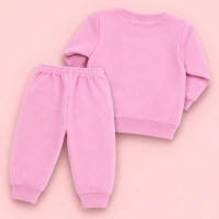Conjunto de Moletom Bebê Blusa Gola Careca e Calça Lisa Rosa Até 12 Meses
