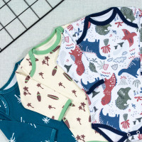 KIT BODY PARA BEBÊ 6 PÇS MANGA LONGA CORES E ESTAMPAS VARIADAS DINO