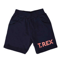 CONJUNTO REGATA E BERMUDA INFANTIL DINOSSAURO AZUL